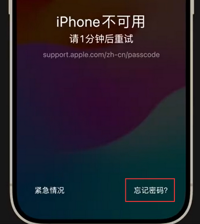 香河苹果手机密码维修分享iPhone忘记了刚设置的密码 